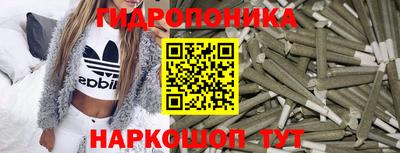 бошки Бийск