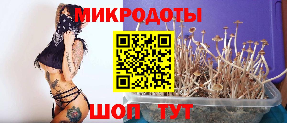 Галлюциногенные грибы Psilocybine cubensis Кинель